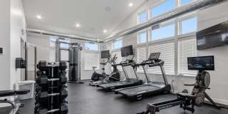 Lux North Lux North Gallery 5