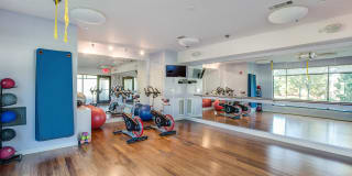 Windsor at Maxwell's Green Gallery 44