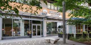 Insignia On M Gallery 34