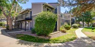 Copper Flats Gallery 24