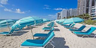 6799 Collins Ave Gallery 19