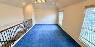 234 Gazelle Leap Gallery 23