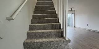 Mt. Pleasant Gallery 7