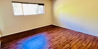 Fantastic location! Gallery 15