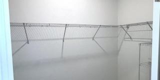 2184 Dragonfruit Way Gallery 11