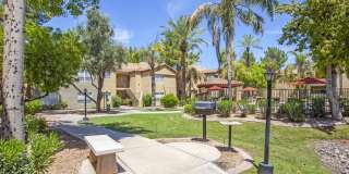 The Palms Gallery 4