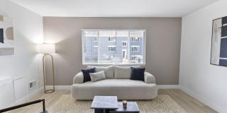 The Cadence Gallery 14