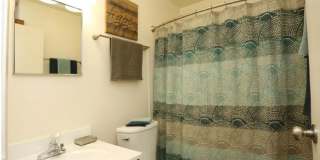 Park Village Gallery 5