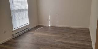 University Park Gallery 256