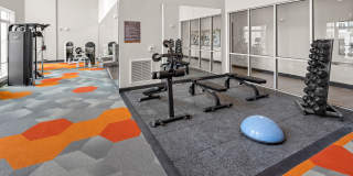 Deseo Grande Gallery 11