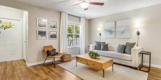Meadow Lakes Gallery 7
