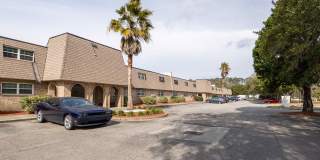 Stallion Square Apartments. Spacious, Updated Living in North Charleston! Gallery 10
