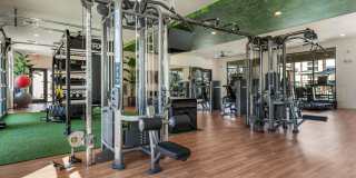 Solara Vista Gallery 40