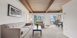 Belcrest Plaza Gallery 24