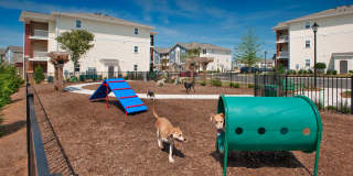 Bexley Village at Concord Mills Gallery 10