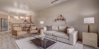 Sanctuary Gallery 12