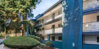 Arrive Magnolia Gallery 70