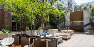 The Frasier Gallery 17