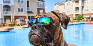 Bradford Park Gallery 25