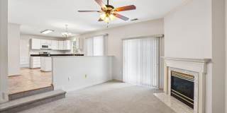 18512 FIDDLELEAF Terrace Gallery 14