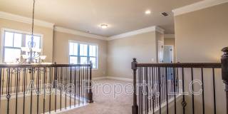 14 Ossabaw Loop Gallery 21