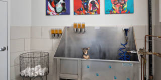 MetroMark Gallery 23