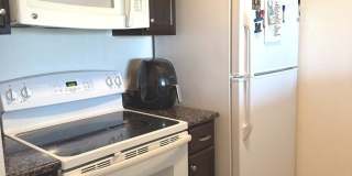 4111 Medical Gallery 9