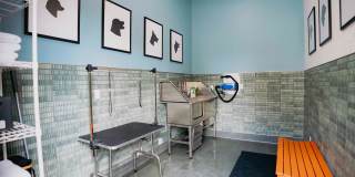 Devonshire Apartments Gallery 13