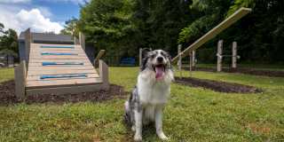 Beachway Links Gallery 30