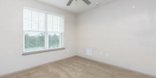 RIZE at Winter Springs Gallery 109