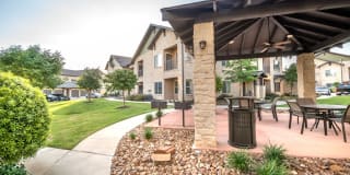 Olympus Waterford Gallery 27