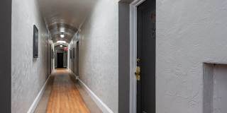 The Evelyn Gallery 3