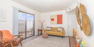 Metro Tucson Gallery 68