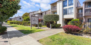 2101 Shoreline #154 - 30% Rental Fee.- "MOVE-IN SPECIAL" Gallery 1