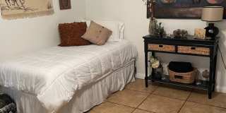 WINTER RENTAL 2026-2027 Gallery 21
