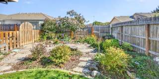 2638 Rabun Way Gallery 47