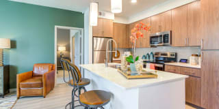 Ocio Plaza del Rio Gallery 14