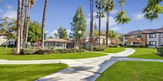 Castlepark Gallery 22