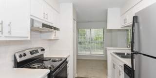 Canopy at Baybrook Gallery 17