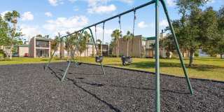 Buena Vista Gallery 96