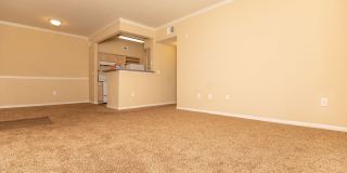 The Arboretum Apartments Gallery 22