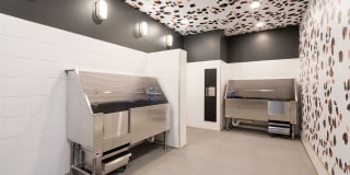 Forte on the Park Gallery 15