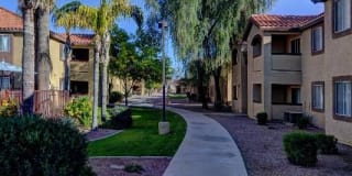 The Sonoran Gallery 11