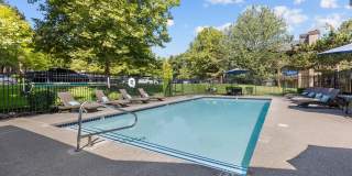 Align Align Gallery 1