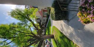 Sierra Vista Gallery 17