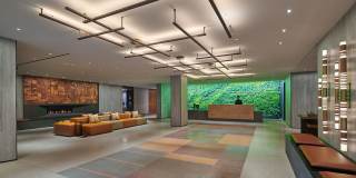 Crossing DC Gallery 23