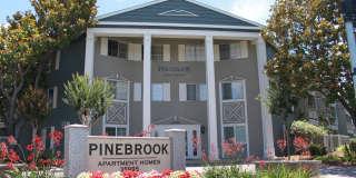 Pinebrook Apartments Gallery 16