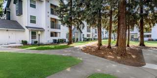 The Hazelwood Gallery 3