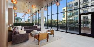18 Dock Street Gallery 1
