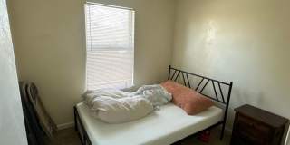 215 Pheasant Run Drive - Knowles Gallery 13